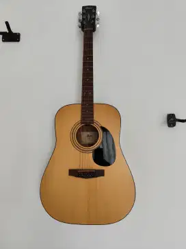 Gitar Cort AD810E