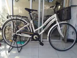 Sepeda mini keranjang dewasa alumunium
