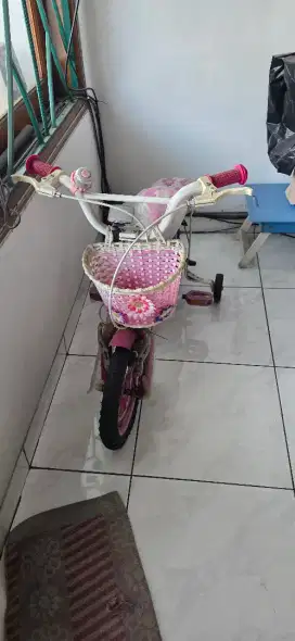 Sepeda Anak Family
