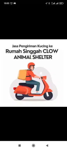 Terima jasa transpet kucing ke rumahsingahclow parung
