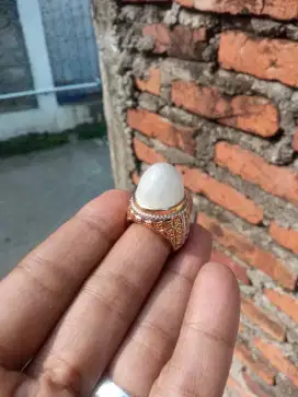 Batu bulu Hanoman putih