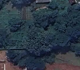 TANAH GUNUNG SINDUR BOGOR, COCOK UNTUK PETERNAKAN