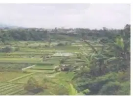 Tanah di Pinggir Jalan Raya Cipanas, Cianjur