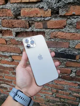 iPhone 13 Pro Max 256 GB Dualsim ZA/A Mulus Normal Fullset