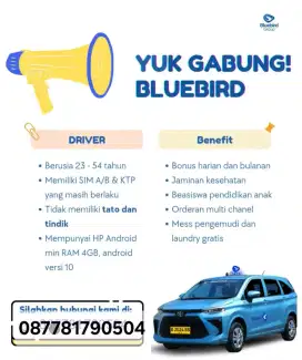 Dibutuhkan Pengemudi