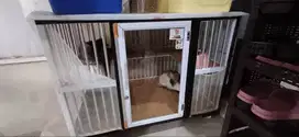 Alih Adop 2 Kucing Persia Jantan dan Betina Plus Kandang Stainless
