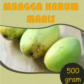 Buah Mangga Harum Manis lokal 500 gr / 1 kg