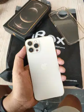 Iphone 12 promax 256gb ex iBox fullset mulus
