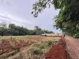 Miliki Kavling Elit di Jantung Cibubur – 5 Menit ke Mall Ciputra