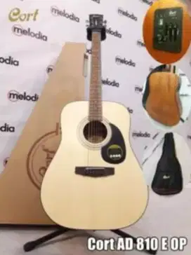 Cort AD series 6 strings Acoustic-electric guitar-AD 810 E OP