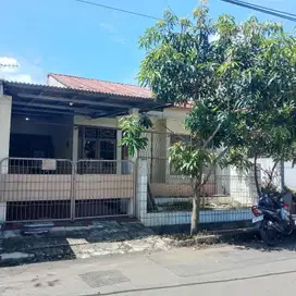 Rumah LT 125 SHM Dibantu KPR 6 Mnt ke Transmart Yasmin Bogor J-34863