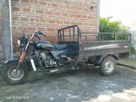Viar 150cc Long 204