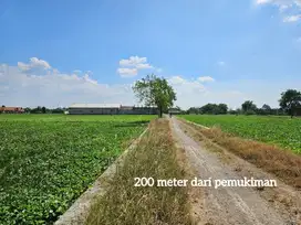 Termurah tanah pinggir jalan desa lokasi balongpanggang gresik