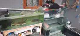 Aquarium akuarium susun 3