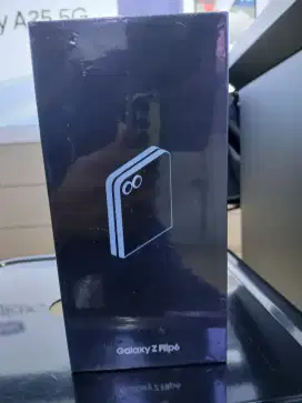 Flip 6 blue 12/256