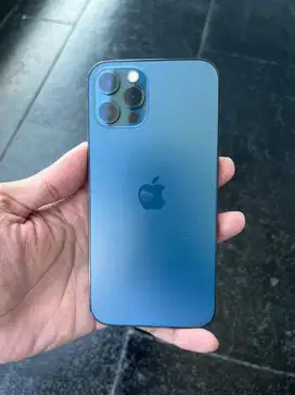 iPhone 12 Pro 256GB inter
