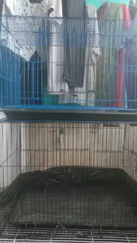 Jual Kandang kucing bekas kondisi mulus