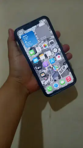 Iphone 11 pro max 256gb LL/A