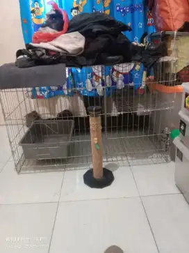 Dijual Kandang Bekas Kucing/Musang/Iguana