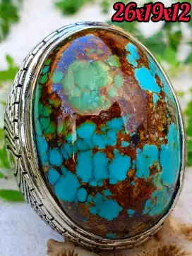 Pirus Persia biru tosca gradasi
