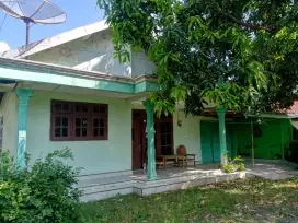 Rumah 1 Lantai Dusun Ambunten Cermee