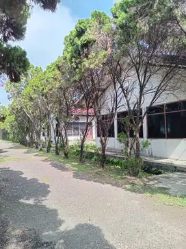 Tanah Luas 10 Hektar di Cikande, Lokasi Bagus