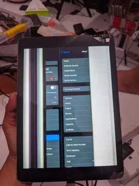 iPad Air 2 series