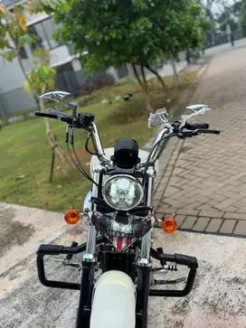 Harley Davidson Sportster 883 XL superlow Full Paper