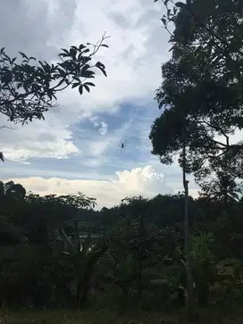 Tanah kebon dan sawah di serang