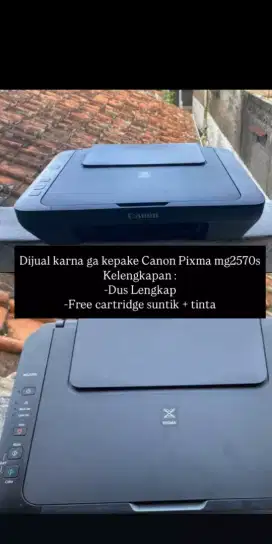 Printer Cannon Pixma mg2570s