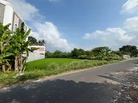 5 MENIT UNRIYO: Tanah Prospek Maguwo Jl Tajem Jogja, SHM