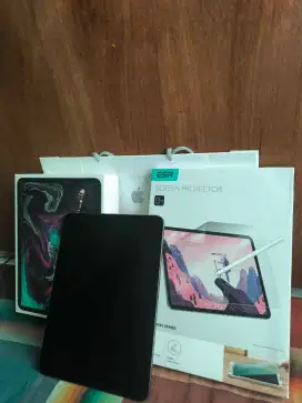 IPad Pro 11 inch, 2018 Wifi 64 GB +Screen protector