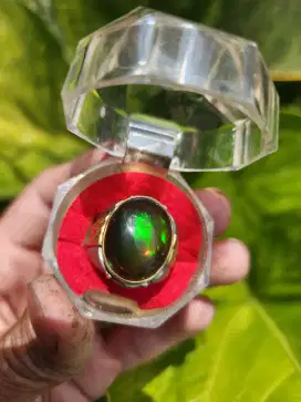 Batu Akik Kalimaya Teh