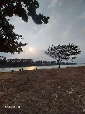 Perkebunan kelapa sawit