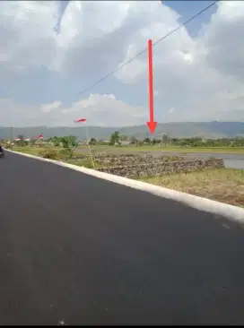 Jual Tanah Murah di Piyungan Jalan Wonosari