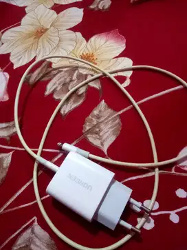 charger ugreen iphone