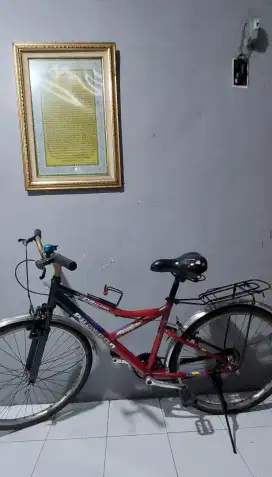 Sepeda Polygon Megarange Evolution Rare