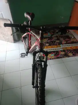 Sepeda Polygon Xtrada 3.0