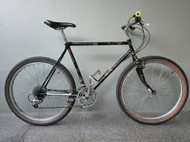 Sepeda Federal Poema Size 21 Kinclong