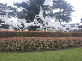Dikontrakkan Rumah kawasan Citra grand City Palembang