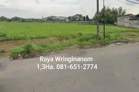 Tanah di Raya Wringinanon Gresik