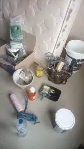 Tukang cat rumah/tukang cat waterproofing dak beton