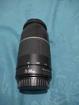Lensa Tele Canon 70-300mm Mark III