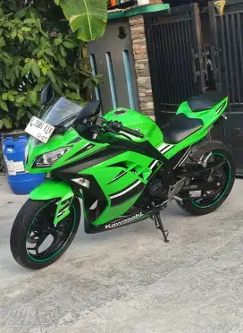 Kawasaki Ninja 250FI