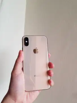 Iphone XS mulus