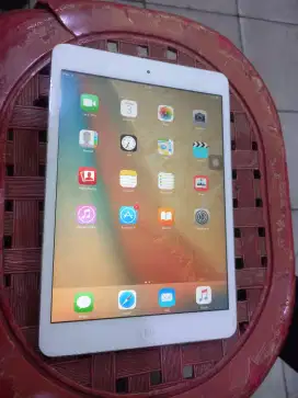 Ipad mini wifi only batangan