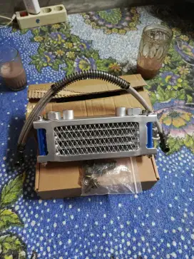 fokus mahar boskuh