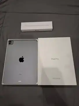 Ipad pro m1 11 inch gen 3 256 gb fullset ori like new pembelian 2024