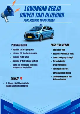Driver taxi bluebird