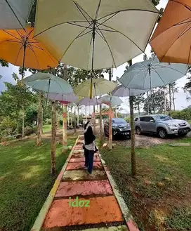 di jual lahan wisata pohon jati,durian di Warungkiara sukabumi
